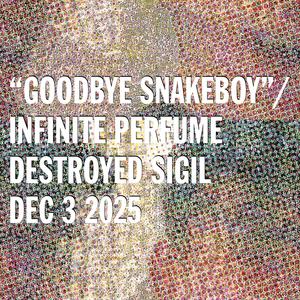 Goodbye Snakeboy (feat. Parks Burton) (Snakesuite Version)