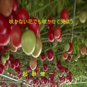 咲かない花でも咲かせて見よう