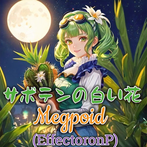 サボテンの白い花