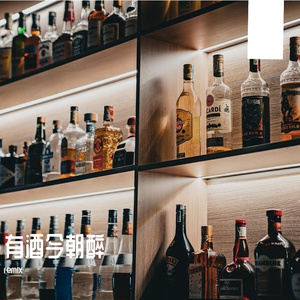 有酒今朝醉(remix)