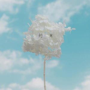 約束（少女音ver.）（翻自 リリィ、さよなら。）