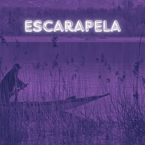 Escarapela