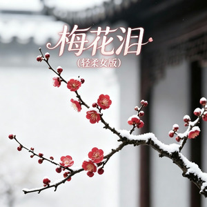 梅花泪(轻柔女版)
