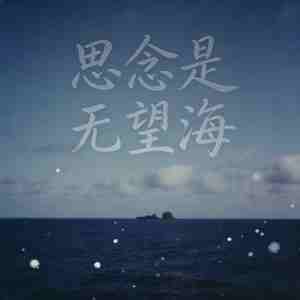 思念是无望海