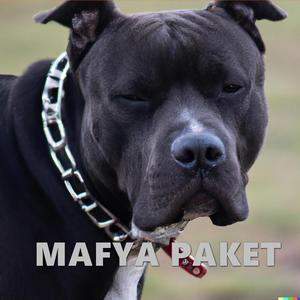 Şoreşger (Mafia ve Mafya)