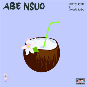 AB3 NSUO