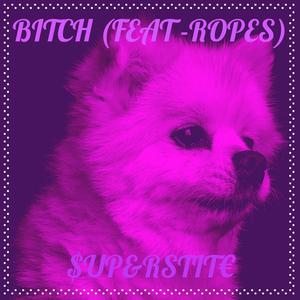 Bitch