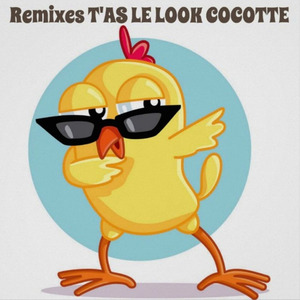 T'as le look cocotte (instrumental)