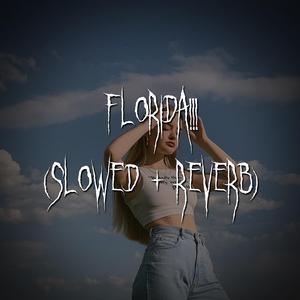 florida!!! (slowed + reverb)