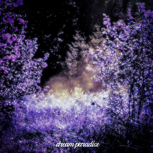 DREAM PARADISE (SLOWED)