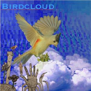 Birdcloud