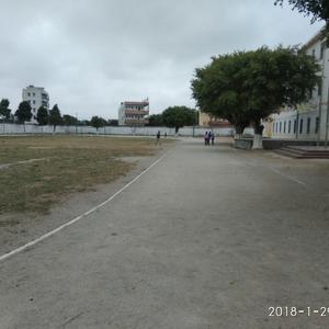 定向（洛天依）