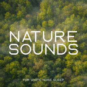 癒しの音色が心地いい高音質睡眠導入BGM 安眠・癒しリラックスのα波音楽