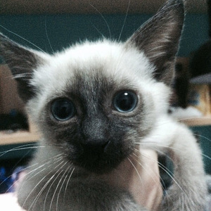 从开始到现在（翻自 张信哲）