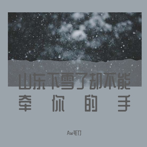 山东下雪了却不能牵你的手（prod by CAD1E