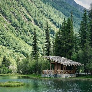 《奇幻竖琴与和声奏响的宇宙魔法之梦》056