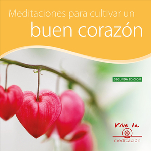 Introducción: Comencemos