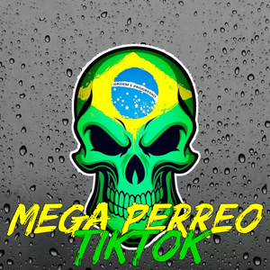 Mega Perreo TikTok