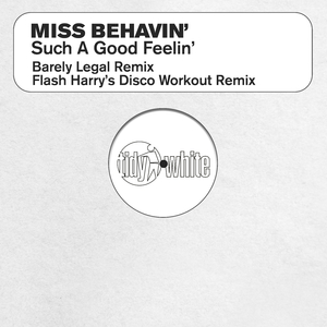 Such A Good Feelin' (Barely Legal Remix)