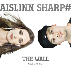 The Wall (feat. Joel Turner)