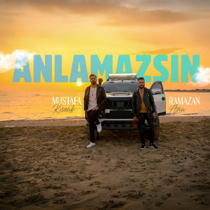 Anlamazsın