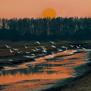 青城山下白素贞（钢琴版）