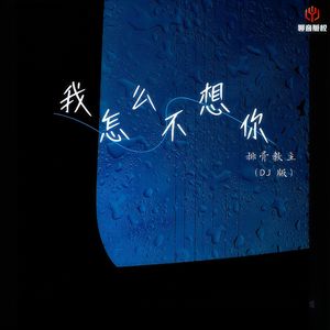 我怎么不想你(DJ版)