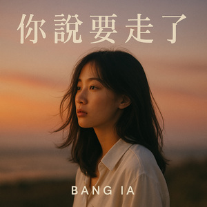 你说要走了