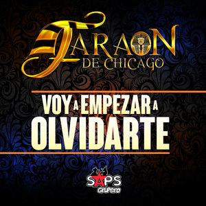 Voy a Empezar a Olvidarte