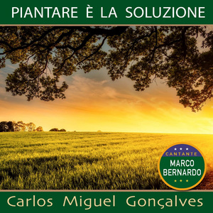 Piantare è la soluzione