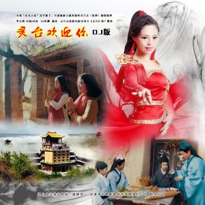 灵台欢迎你 (DJ版伴奏)