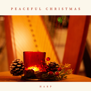 24 Préludes, Op. 28: No. 20 in C Minor (Transcr. Y. Kondonassis)