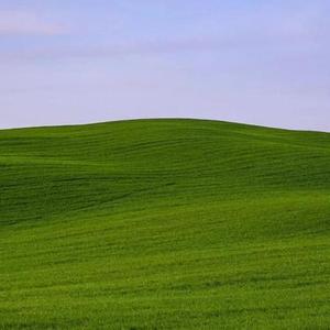 20多岁大可不必这么成熟