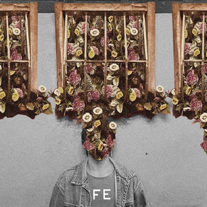 Fe
