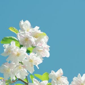 星舆巡行的轨则