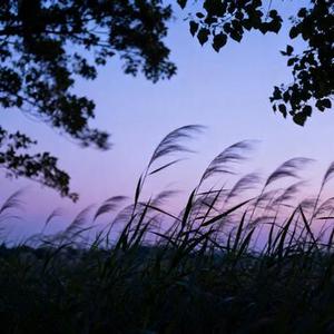 风都知道我很难受