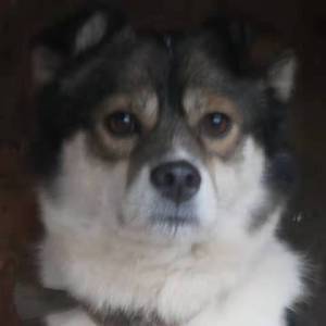 日出，新的一天