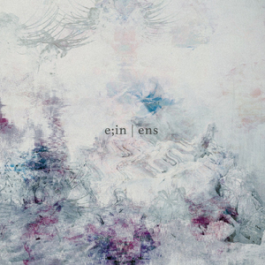 What You Grasp in Your Hands