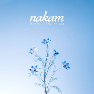 Nakam
