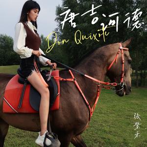 唐吉诃德