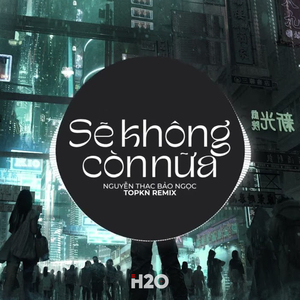 Sẽ Không Còn Nữa (EDM Remix)