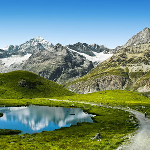 あなたの頭はどこにありますか