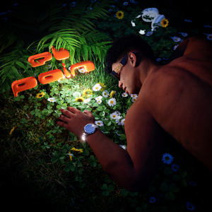 Palos2