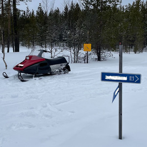 Jingle Bells (2024 Remastered Version)