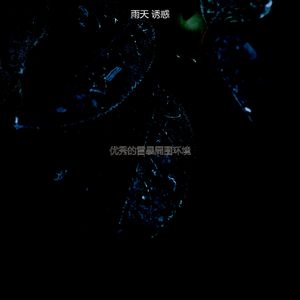 安静的住在里面声音