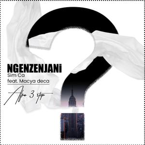 Ngenzenjani (feat. Macya deca)