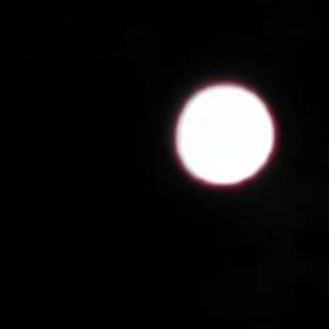 针锋相对（prod.by房间里的大象）