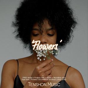 Flowers (FREE Afro Pop Type beat "Flowers" Intrumental Afrobeat Latest 2023)