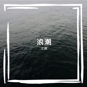 浪潮