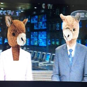 新闻联播片尾曲绝美改编版